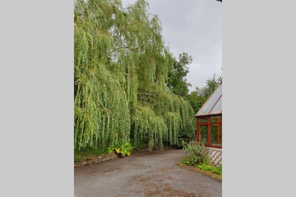 أبرجافني Willow Lodge المظهر الخارجي الصورة